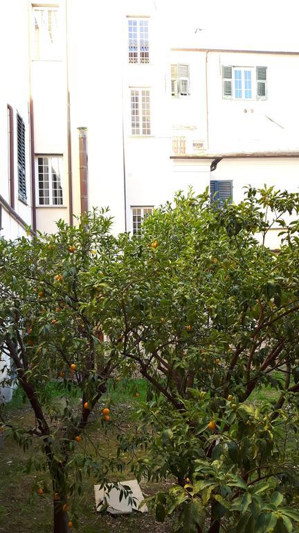 Torre Cepollini Hotel Albenga Eksteriør billede